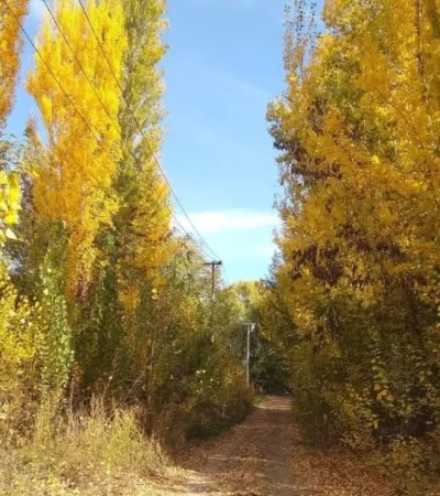 otoño-mendoza-tiempo-hoy-pronostico