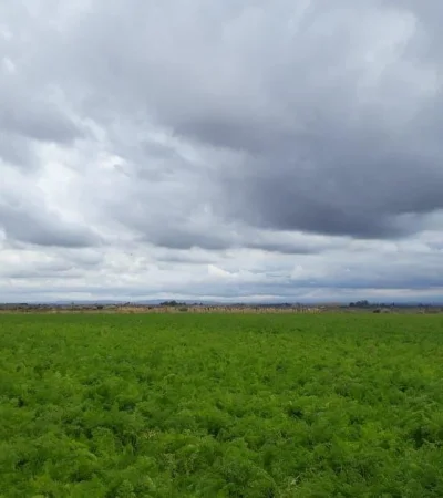 smn-mendoza-tiempo-hoy-jueves-pronóstico-5