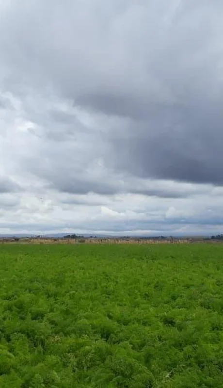 smn-mendoza-tiempo-hoy-jueves-pronóstico-5