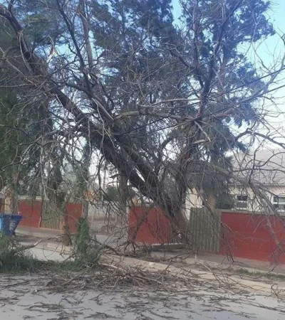 diario-la-provincia-viento-zonda-en-san-juan