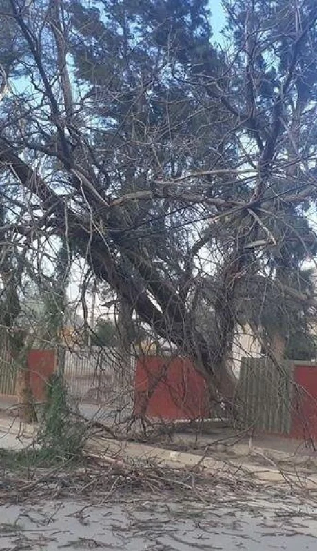 diario-la-provincia-viento-zonda-en-san-juan