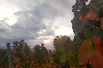 Comenzó el otoño en el hemisferio sur con el inicio del equinoccio