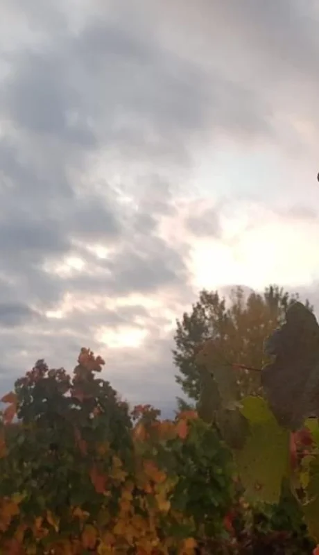 Con la llegada del otoño comienza también el cambio en el ciclo vegetativo de las plantas por el acortamiento de los días.