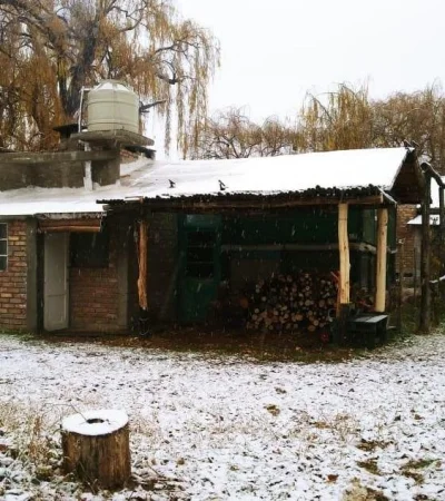 WhatsApp-Image-2019-06-15-at-17.33.36-(1)