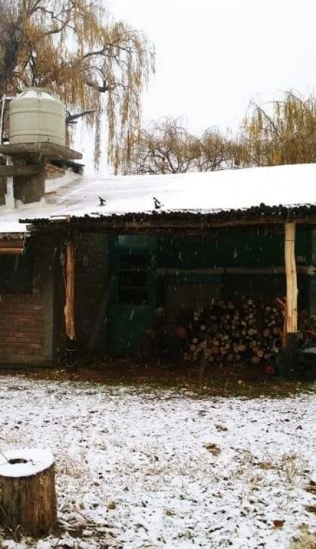 WhatsApp-Image-2019-06-15-at-17.33.36-(1)