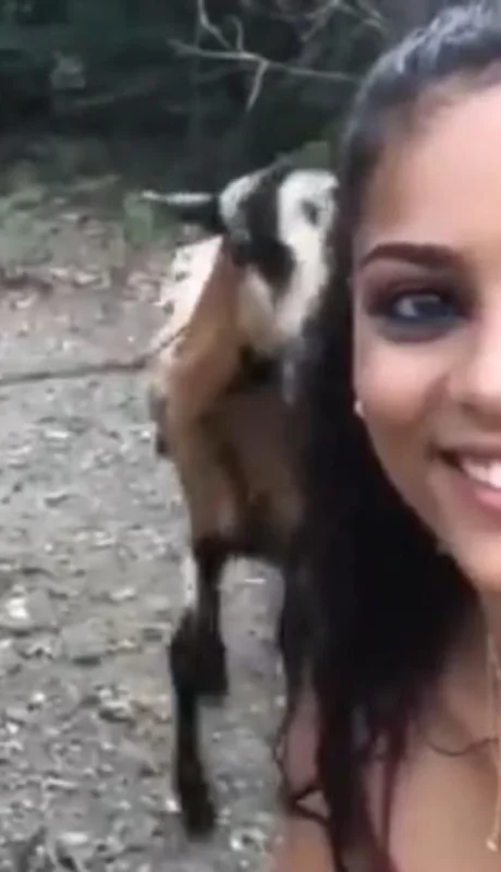cabra-viral-video-foto