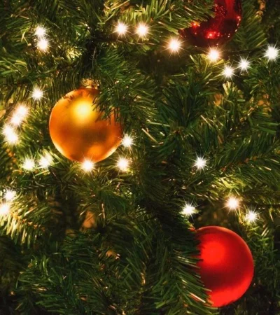 navidad-precio-arbol-2020-articulos-fotos