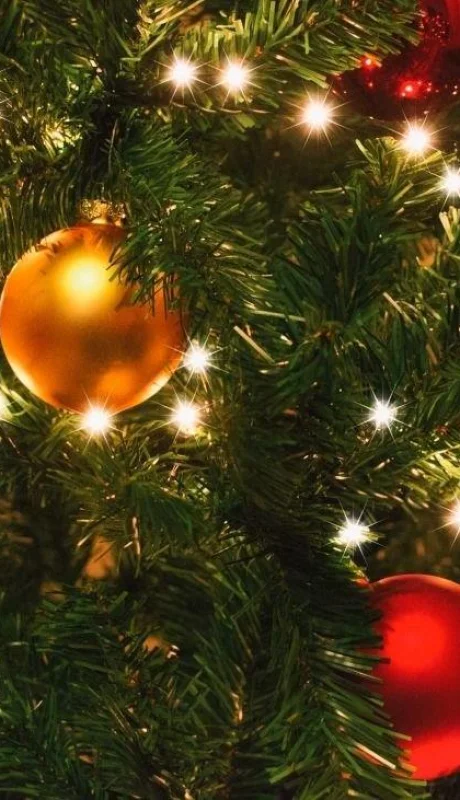 navidad-precio-arbol-2020-articulos-fotos