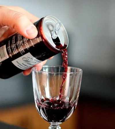 vino-en-lata-bodega-mendoza-fecovita-estancia-mendoza-mendocina-noviembre-2019