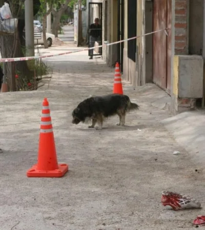 policía-mendoza-inseguridad-7
