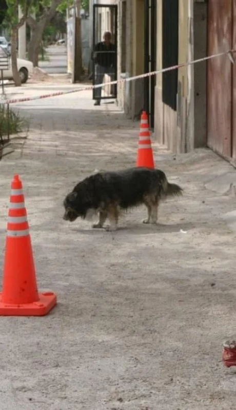 policía-mendoza-inseguridad-7