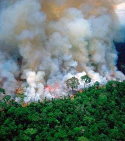 incendio-llamas-brasil-el-amazonas-la-amazonía-desastre-fotos-8