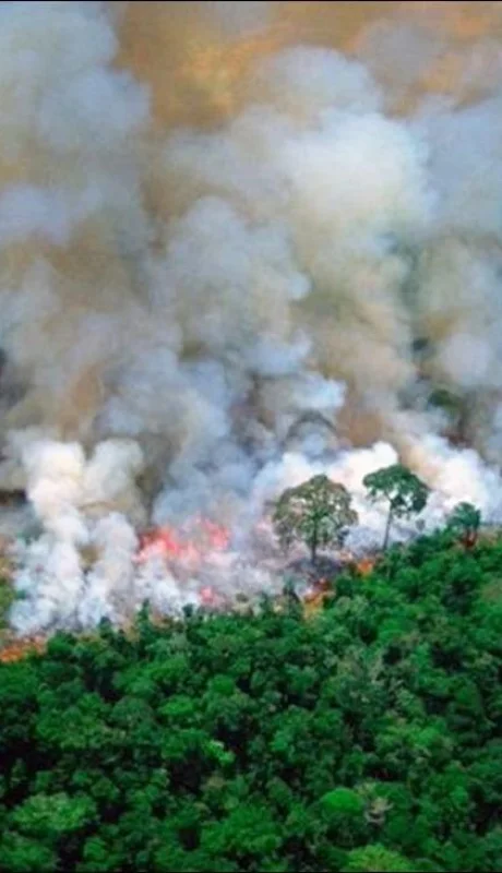 incendio-llamas-brasil-el-amazonas-la-amazonía-desastre-fotos-8