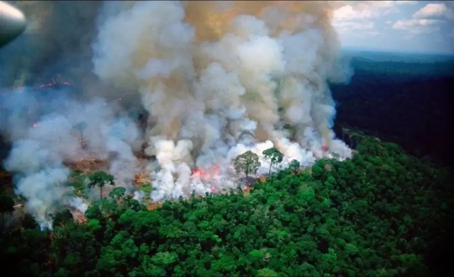 incendio-llamas-brasil-el-amazonas-la-amazonía-desastre-fotos-8