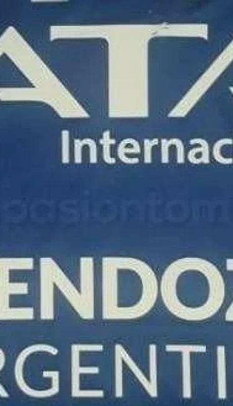 tomba-camiseta-libertadores