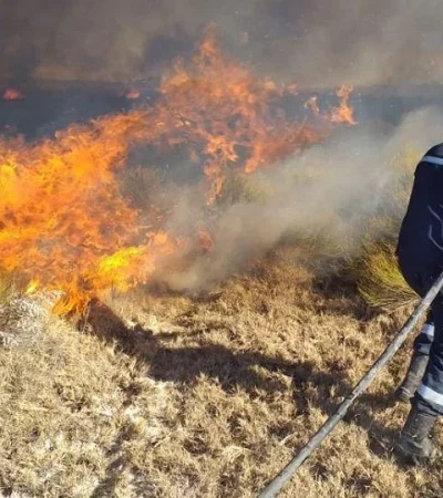 WhatsApp-Image-2019-08-26-at-14.38.55