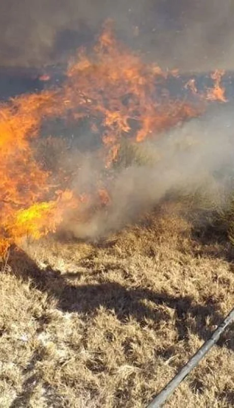 WhatsApp-Image-2019-08-26-at-14.38.55