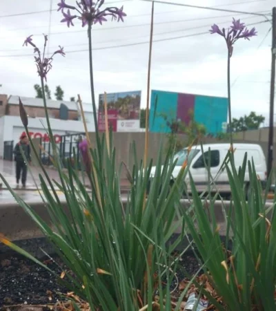 ab2d9ec8-3043-4d89-92e2-53dbf87852c4