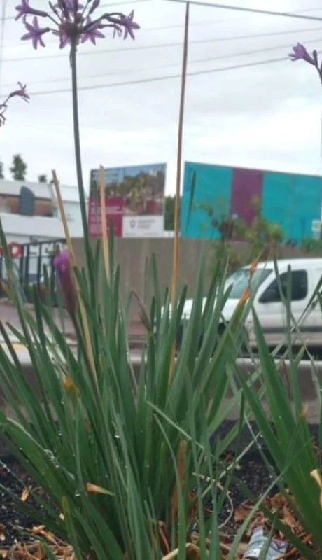 ab2d9ec8-3043-4d89-92e2-53dbf87852c4