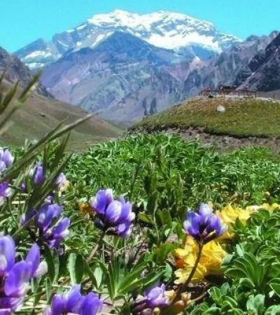 aconca-114-principal-4