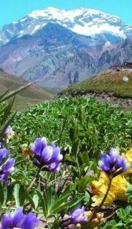 aconca-114-principal-4