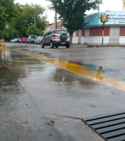 0ea1ecf5-9bbd-4ca7-a013-eedadd7df031