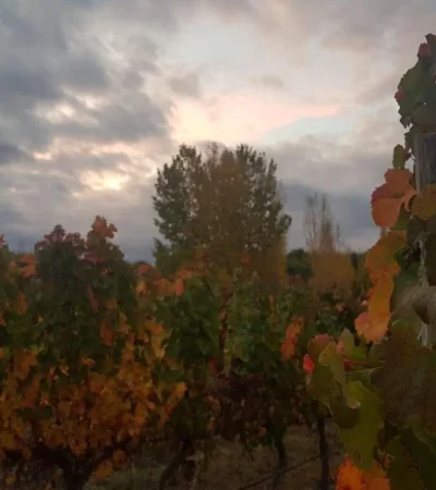 tiempo-mendoza-otoño-pronóstico-hoy-clima-10