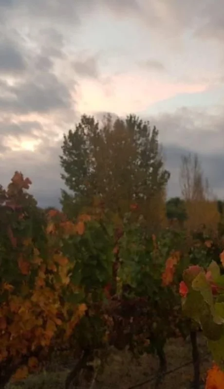 tiempo-mendoza-otoño-pronóstico-hoy-clima-10