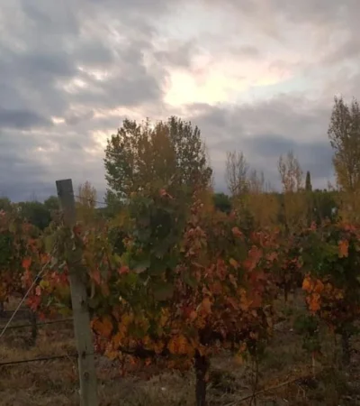 tiempo-mendoza-otoño-pronóstico-hoy-clima-12