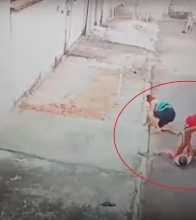 video-perro-ataque-pitbull-brasil