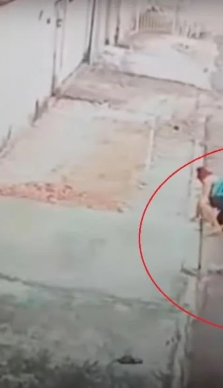 video-perro-ataque-pitbull-brasil