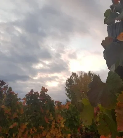 tiempo-mendoza-otoño-pronóstico-hoy-clima-15