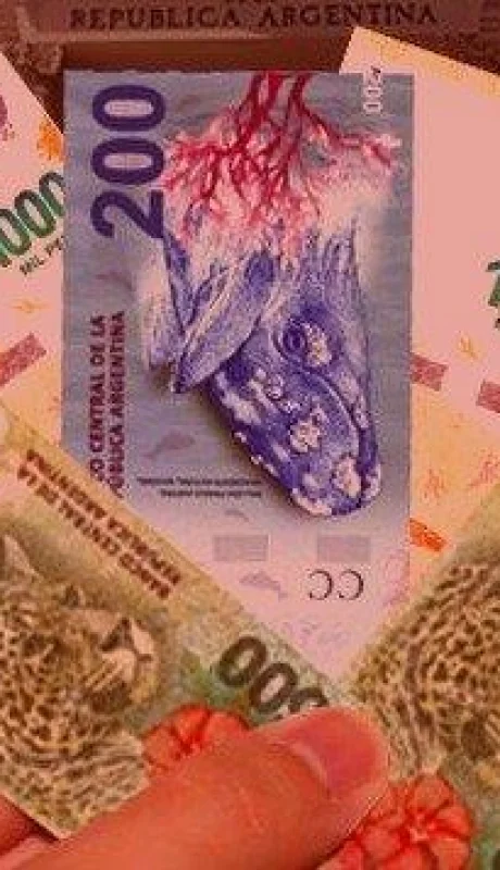 anses-cuando-cobro-diciembre-2019