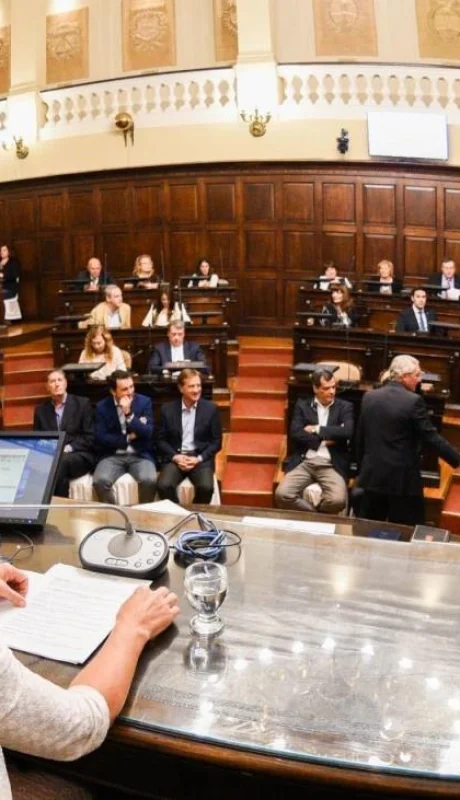 Hororable-camara-de-Senadores-Juramento-16