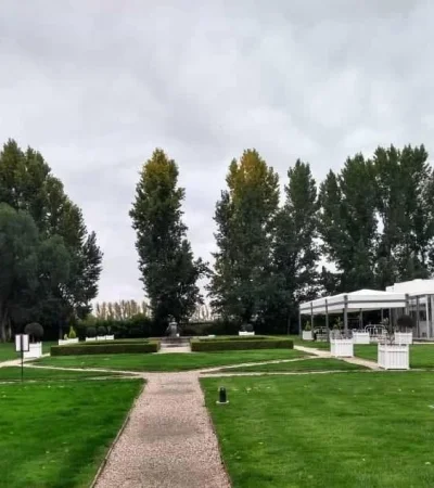 60042382_2237182743007149_1986111307098619904_n