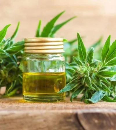 20190409074017_hemp-cbd-oil