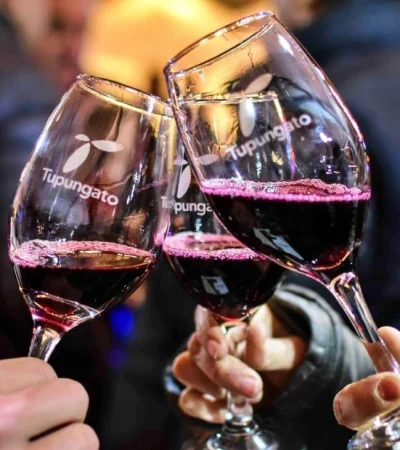 Feria-de-Vinos-de-Altura-Tgto-15