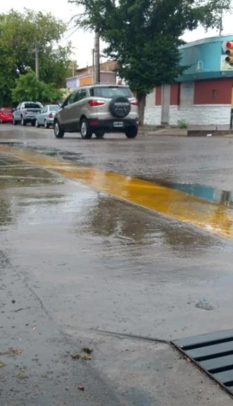 0ea1ecf5-9bbd-4ca7-a013-eedadd7df031