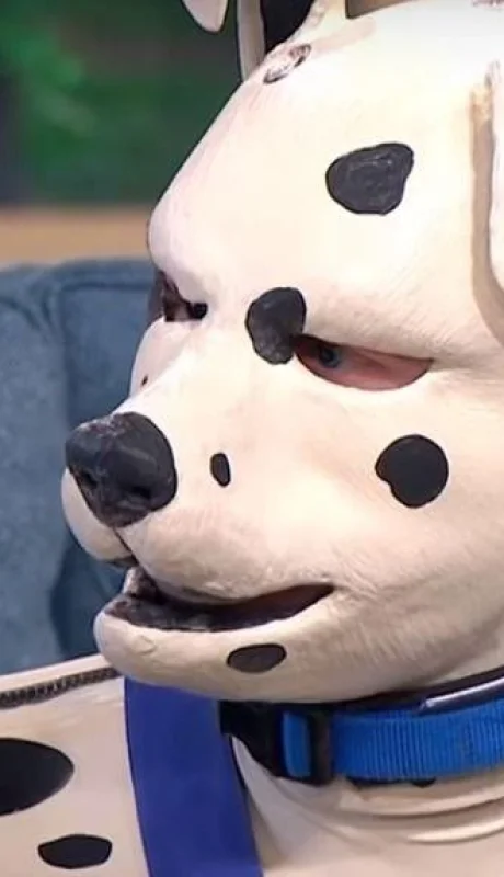 tom-peters-perro-dálmata-disfraz-sexo-género-4