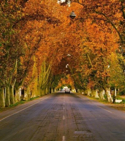 Otoño-Mendoza