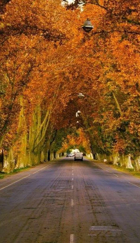 Otoño-Mendoza