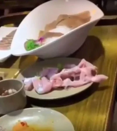 pollo-zombie-viral-plato-vivo