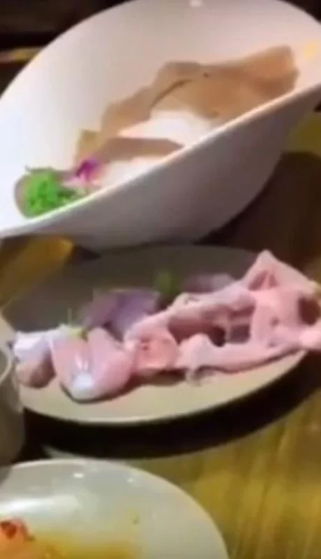 pollo-zombie-viral-plato-vivo