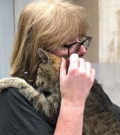 gato-reencuentro-dueña-perdido-años-2