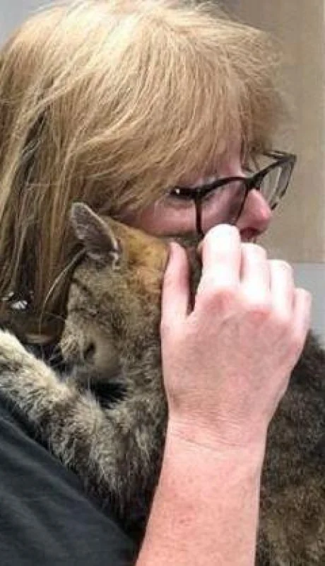 gato-reencuentro-dueña-perdido-años-2