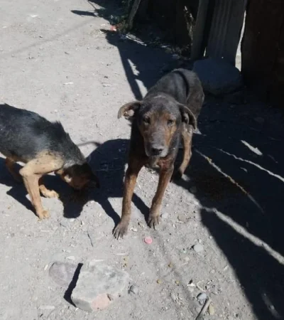 WhatsApp-Image-2019-11-05-at-13.35.38