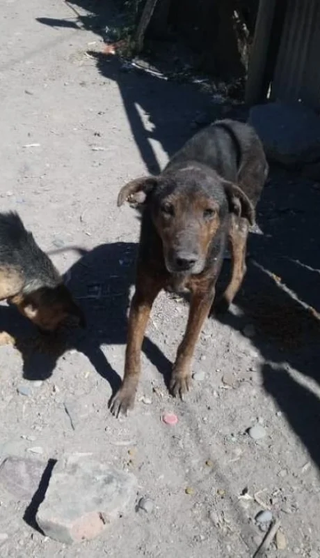 WhatsApp-Image-2019-11-05-at-13.35.38