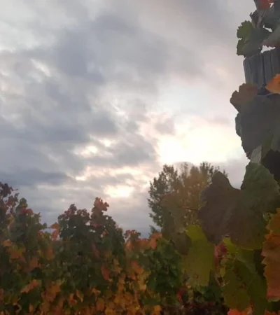 tiempo-mendoza-otoño-pronóstico-hoy-clima-15