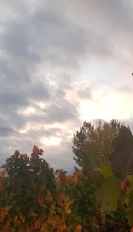 tiempo-mendoza-otoño-pronóstico-hoy-clima-15