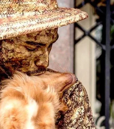 57488108_452135318665275_1466906130330094192_n